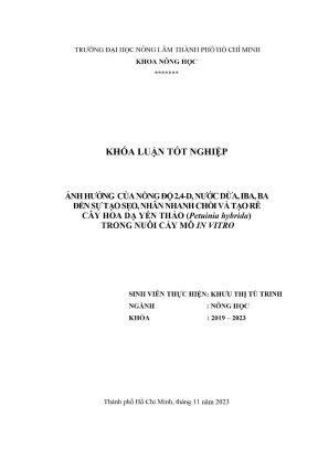 Khóa luận tốt nghiệp nông học ảnh hưởng của nồng độ 2 4d nước dừa iba ba đến sự tạo sẹo nhân nhanh chồi và tạo rễ cây hoa dạ yến thảo petuinia hybrida trong nuôi cấy mô in vitro
