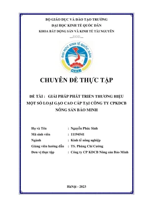 Chuyên đề thực tập giải pháp phát triển thương hiệu gạo st25 ruộng rươi bảo minh