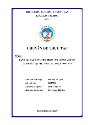 Chuyên đề thực tập đánh giá tác động của thâm hụt ngân sách tới lạm phát tại việt nam giai đoạn 2000 2019