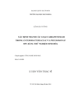 Luận văn thạc sĩ công nghệ sinh học xác định nhanh các loại carbapenemase trong enterobacteriaceae và pseudomonas spp bằng thử nghiệm sinh hóa