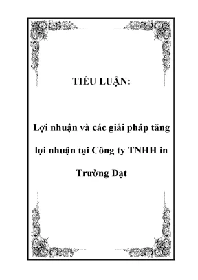 Tiểu luận lợi nhuận và các giải pháp tăng lợi nhuận tại công ty tnhh in trường đạt
