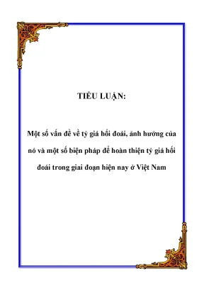 Tiểu luận một số vấn đề về tỷ giá hối đoái ảnh hưởng của nó và một số biện pháp để hoàn thiện tỷ giá hối đoái trong giai đoạn hiện nay ở việt nam