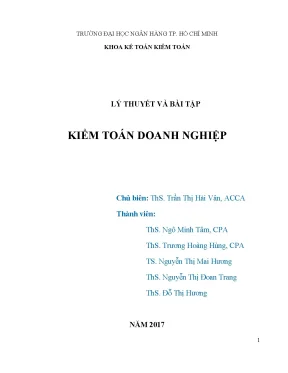 Kiểm toán doanh nghiệp lý thuyết và bài tập trần thị hải vân và nh ng kh