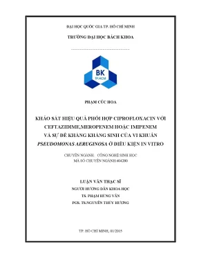 Luận văn thạc sĩ công nghệ sinh học khảo sát hiệu quả phối hợp ciprofloxacin với ceftazidime meropenem hoặc imipenem và sự đề kháng kháng sinh của vi khuẩn pseudomonas aeruginosa ở điều kiện in vitro