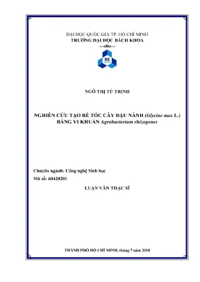 Luận văn thạc sĩ công nghệ sinh học nghiên cứu tạo rễ tóc cây đậu nành glycine max l bằng vi khuẩn agrobacterium rhizogenes