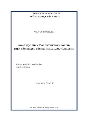 Luận văn thạc sĩ kỹ thuật hóa dầu động học phản ứng dry reforming ch4 trên các hệ xúc tác niomgoaal2o3 và nioceo2