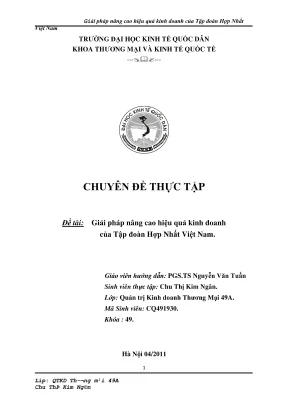 Chuyên đề thực tập giải pháp nâng cao hiệu quả kinh doanh của tập đoàn hợp nhất việt nam