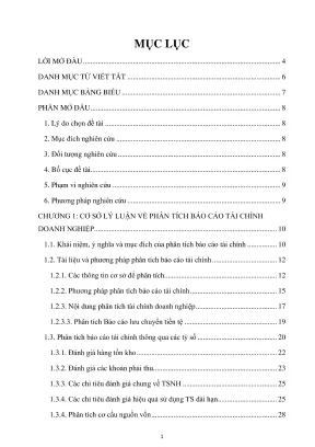Chuyên đề thực tập phân tích bctc công ty cổ phần vịnh mặt trăng