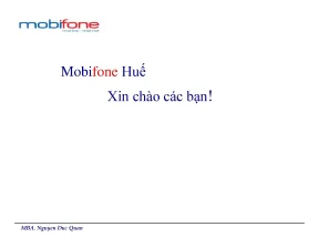 Tiểu luận chiến lược kinh doanh của mobifone huế