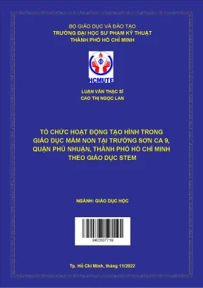 Tổ chức hoạt động tạo hình trong giáo dục mầm non tại trường sơn ca 9 quận phú nhuận thành phố hồ chí minh theo giáo dục stem