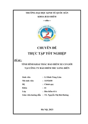 Tình hình khai thác bảo hiểm xe cơ giới tại công ty bảo hiểm mic long biên
