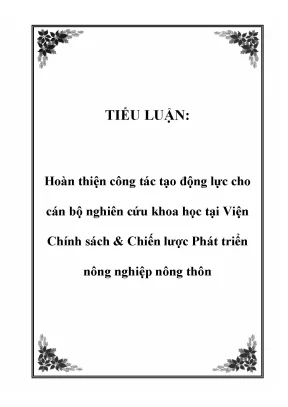 Tiểu luận hoàn thiện công tác tạo động lực cho cán bộ nghiên cứu khoa học tại viện chính sách chiến lược phát triển nông nghiệp nông thôn