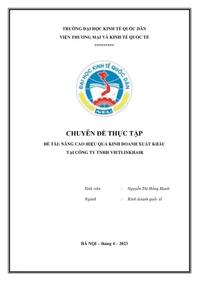 Chuyên đề thực tập nâng cao hiệu quả kinh doanh xuất khẩu tại công ty tnhh vietlinkhair