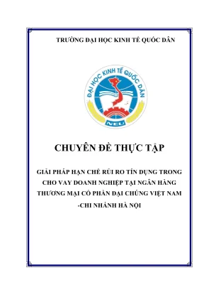 Chuyên đề thực tập giải pháp hạn chế rủi ro tín dụng trong cho vay doanh nghiệp tại ngân hàng thương mại cổ phần đại chúng việt nam chi nhánh hà nội