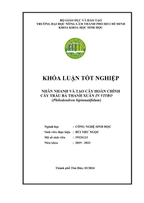 Khóa luận tốt nghiệp công nghệ sinh học nhân nhanh và tạo cây hoàn chỉnh cây trầu bà thanh xuân in vitro philodendron bipinnatifidum