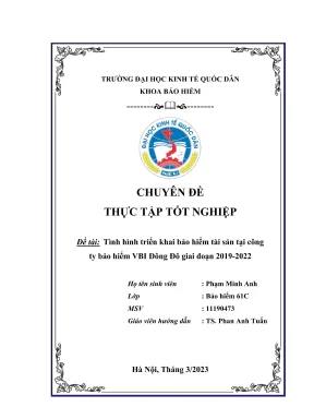 Tình hình triển khai nghiệp vụ bảo hiểm tài sản tại công ty bảo hiểm vbi đông đô