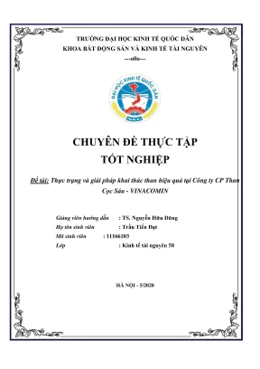 Thực trạng và giải pháp khai thác than hiệu quả tại công ty cp than cọc sáu vinacomin