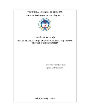 Chuyên đề thực tập xuất khẩu gạo của việt nam sang thị trường trung đông đến năm 2025