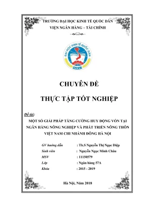 Chuyên đề thực tập tốt nghiệp một số giải pháp tăng cường huy động vốn tại ngân hàng nông nghiệp và phát triển nông thôn việt nam chi nhánh đông hà nội