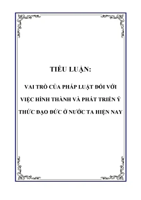 Tiểu luận vai trò của pháp luật đối với việc hình thành và phát triển ý thức đạo đức ở nước ta hiện nay