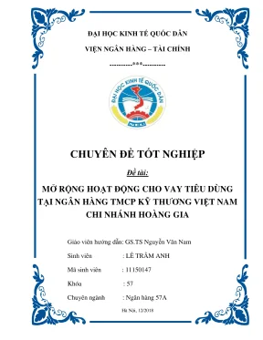 Chuyên đề tốt nghiệp mở rộng hoạt động cho vay tiêu dùng tại ngân hàng tmcp kỹ thương việt nam chi nhánh hoàng gia