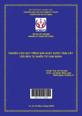 Nghiên cứu quy trình sản xuất nước trái cây lên men tự nhiên từ cam sành