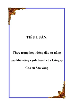 Tiểu luận thực trạng hoạt động đầu tư nâng cao khả năng cạnh tranh của công ty cao su sao vàng