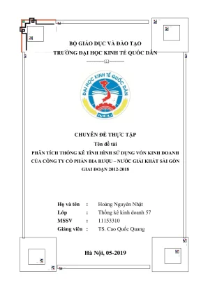 Chuyên đề thực tập nghiên cứu thống kê hiệu quả sử dụng vốn kinh doanh của công ty cổ phần bia rượu nước giải khát sài gòn giai đoạn năm 2012 2018