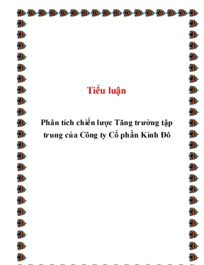 Tiểu luận phân tích chiến lược tăng trưởng tập trung của công ty cổ phần kinh đô