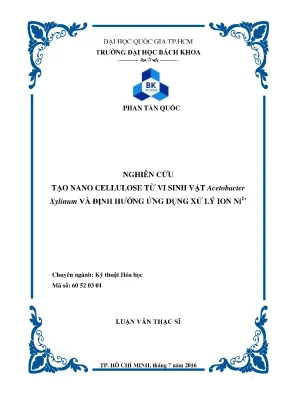 Luận văn thạc sĩ kỹ thuật hóa học nghiên cứu tạo nano cellulose từ vi sinh vật acetobacter xylinum và định hướng ứng dụng xử lý ion ni2