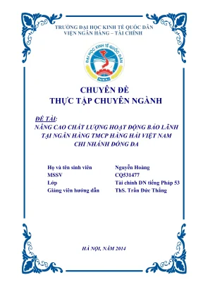 Chuyên đề thực tập nâng cao chất lượng hoạt động bảo lãnh tại ngân hàng tmcp hàng hải việt nam chi nhánh đống đa