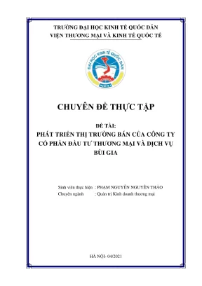 Chuyên đề thực tập phát triển thị trường bán của công ty cổ phần đầu tư thương mại và dịch vụ bùi gia