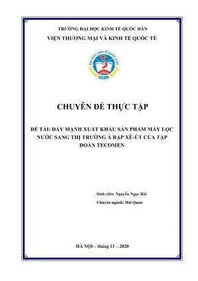 Chuyên đề thực tập đẩy mạnh xuất khẩu sản phẩm máy lọc nước sang thị trường ả rập xêút của tập đoàn tecomen