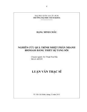 Luận văn thạc sĩ kỹ thuật hóa dầu nghiên cứu quá trình nhiệt phân nhanh biomass bằng thiết bị tầng sôi