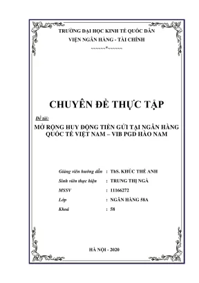 Chuyên đề thực tập mở rộng huy động tiền gửi tại ngân hàng quốc tế việt nam vib pgd hào nam