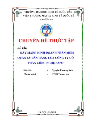 Chuyên đề thực tập đẩy mạnh kinh doanh phần mềm quản lý bán hàng của công ty cổ phần công nghệ sapo