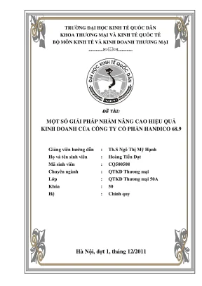 Chuyên đề thực tập một số giải pháp nhằm nâng cao hiệu quả kinh doanh của công ty cổ phần handico 68 9