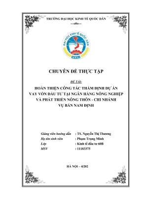 Chuyên đề thực tập hoàn thiện công tác thẩm định dự án vay vốn đầu tư tại ngân hàng nông nghiệp và phát triển nông thôn chi nhánh vụ bản nam định