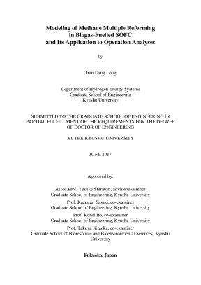 Luận án tiến sĩ modeling of methane multiple reforming in biogasfuelled sofc and its application to operation analyses