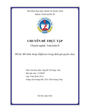 Chuyên đề thực tập mô hình jumpdiffusion trong định giá quyền chọn