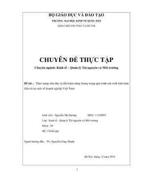 Chuyên đề thực tập thực trạng tiêu thụ và tiết kiệm năng lượng trong quá trình sản xuất linh kiện điện tử tại một số doanh nghiệp việt nam