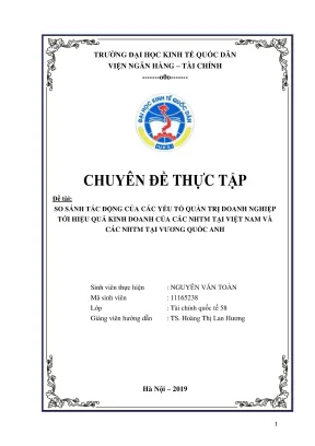 Chuyên đề thực tập so sánh tác động của các yếu tố quản trị doanh nghiệp tới hiệu quả kinh doanh của các nhtm tại việt nam và các nhtm tại vương quốc anh