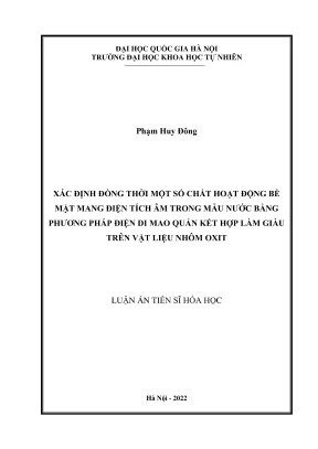 Luận án tiến sĩ hóa học xác định đồng thời một số chất hoạt động bề mặt mang điện tích âm trong mẫu nước bằng phương pháp điện di mao quản kết hợp làm giàu trên vật liệu nhôm oxit