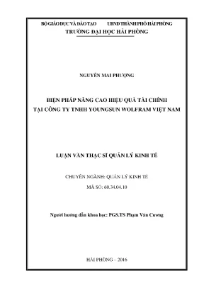 Luận văn thạc sĩ quản lý kinh tế biện pháp nâng cao hiệu quả tài chính tại công ty tnhh youngsun wolfram việt nam
