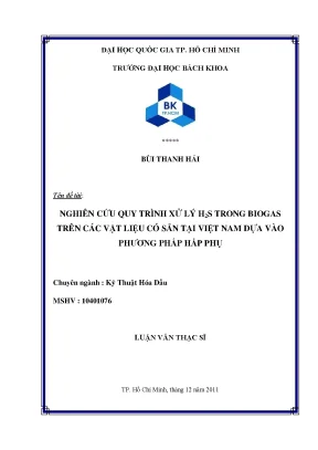 Luận văn thạc sĩ kỹ thuật hóa dầu nghiên cứu quy trình xử lý h2s trong biogas trên các vật liệu có sẵn tại việt nam dựa vào phương pháp hấp phụ