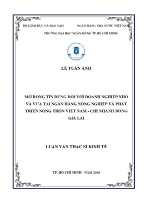 Luận văn thạc sĩ kinh tế mở rộng tín dụng đối với doanh nghiệp nhỏ và vừa tại ngân hàng nông nghiệp và phát triển nông thôn việt nam chi nhánh đông gia lai