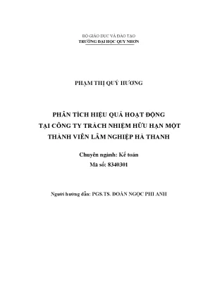Luận văn thạc sĩ phân tích hiệu quả hoạt động tại công ty trách nhiệm hữu hạn một thành viên lâm nghiệp hà thanh