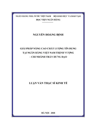 Giải pháp nâng cao chất lượng tín dụng tại ngân hàng việt nam thịnh vượng chi nhánh trần hưng đạo luận văn thạc sỹ kinh tế