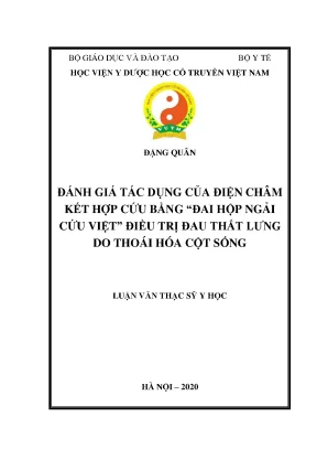 Luận văn thạc sĩ đánh giá tác dụng của điện châm kết hợp cứu bằng đai hộp ngải cứu việt điều trị đau thắt lưng do thoái hóa cột sống