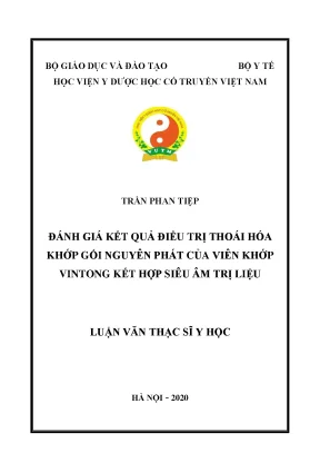 Luận văn thạc sĩ đánh giá kết quả điều trị thoái hóa khớp gối nguyên phát của viên khớp vintong kết hợp siêu âm trị liệu